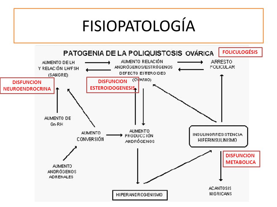 imágenes de acantosis nigricans diabetes fisiopatología